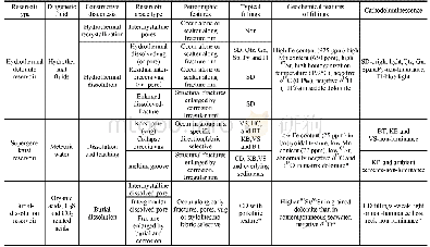 Table 4 Reservoir types and corresponding signatures of different origins of Dengying Fm.