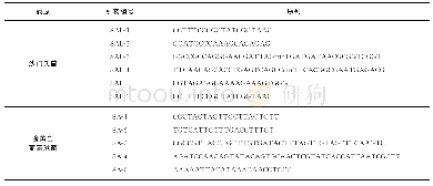 表2 用于LAMP的检测引物
