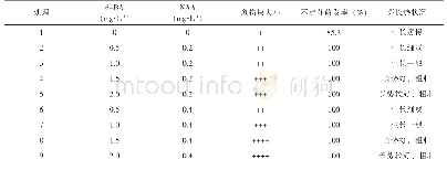 表1 不同处理对白掌不定芽和愈伤组织诱导的影响