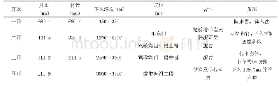 《表1 前期调整井井身结构》