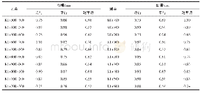 《表4 现场构造深度检测记录表》