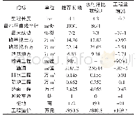 表1 主要技术指标及工程数量比较