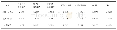 表7 自动监测方案内评价指标的价值系数