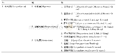 表1 基于FOC的福建石松类植物分类系统概览