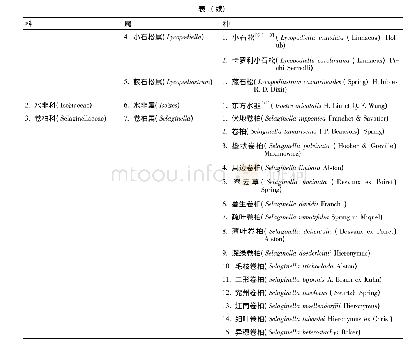 表1 基于FOC的福建石松类植物分类系统概览