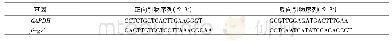 《表1 实时荧光定量的引物序列》