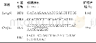 《表1 引物信息：禽多杀性巴氏杆菌外膜蛋白H基因的克隆表达及抗原性鉴定》