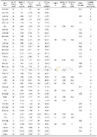 《表2 暗色唇鲮线粒体基因组注释结果（云南）》