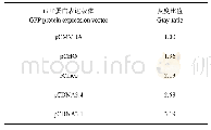 表4 不同载体表达GFP蛋白的灰度比值