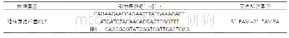 表1 引物探针信息：餐饮食品中蜡样芽孢杆菌的实时荧光PCR检测方法研究