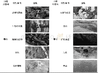 《表5 代表形容词与联想图片》