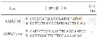 《表1 引物序列：circRNA应用于体液斑鉴定的技术可行性研究》