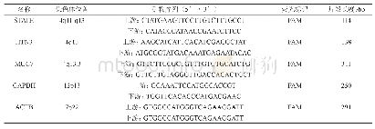 表1 目的基因的引物序列、荧光标记和片段长度