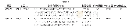 《表1 目的基因与内参基因的引物和探针》