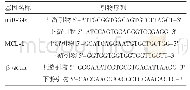 表1 引物序列表：子痫前期患者胎盘中微小RNA-34a的表达及相关机制