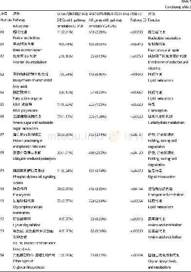 《表3 差异表达基因的KEGG代谢通路富集Table 3 KEGG pathways enriched in differentially expressed genes (DEGs)》