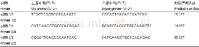 《表3 PCR扩增引物Table 3 PCR amplification products》