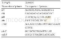 《表4 引物序列：藏茴香ISSR-PCR反应体系的优化》