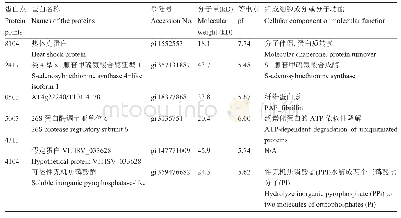 《表1 质谱分析：沙棘果肉与种子蛋白双向电泳-质谱体系建立》