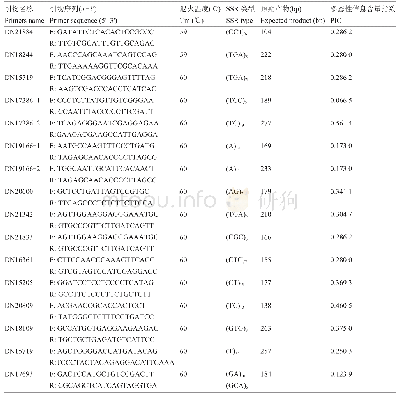 表3 重楼目的基因SSR标记引物