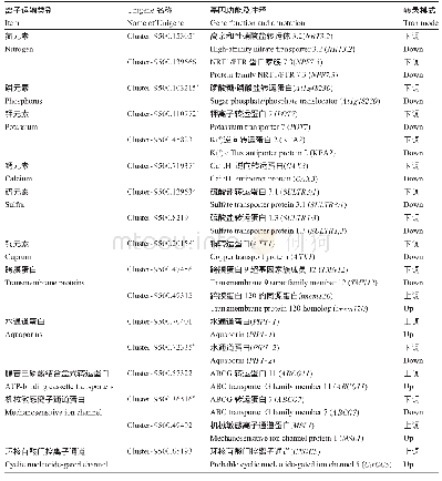 《表4 紫花报春苣苔离子转运相关的差异表达基因》