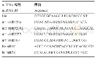表4 mi RNAs qRT-PCR引物设计
