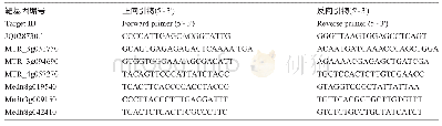 表5 靶基因qRT-PCR引物设计