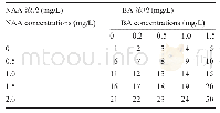 表4 水曲柳未成熟合子胚子叶外植体褐化和体胚发生试验的BA和NAA不同浓度组合处理及其编号