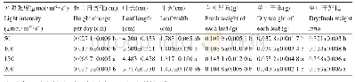 表1 不同光照强度对茶树生长的影响