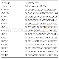 表1 引物序列：水稻类病斑突变体spl41的表型鉴定及生理分析
