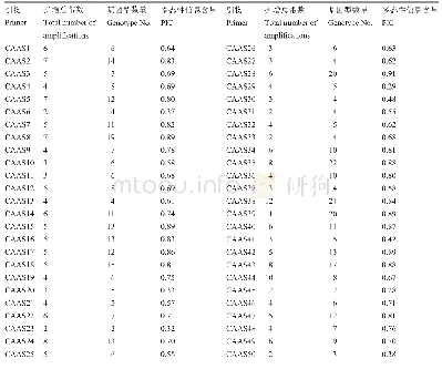 表1 50对SSR引物在蚕豆种质中的多态性