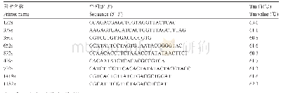 表1 Tamyb10-D1基因特异性分子标记引物