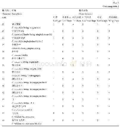 表2 金柑属植物叶形态特征描述