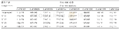 表2 基于8对核心SSR引物的5株茶树的分子指纹