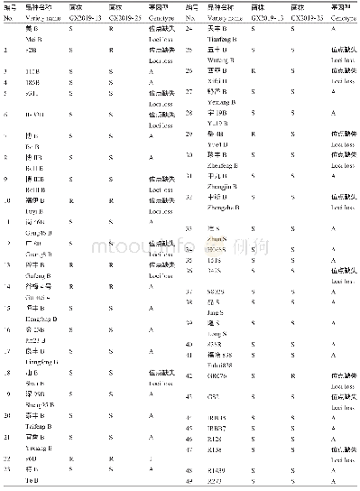 《表3 稻瘟病抗性鉴定结果及标记MM-Pi1扩增的基因型》