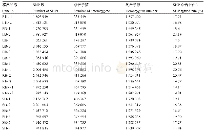 表2 甜菜SNP信息统计