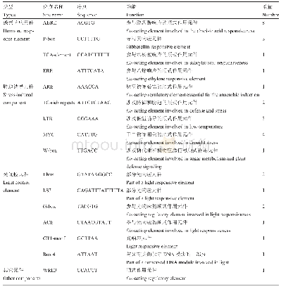 表1 NtClpR2基因启动子区域的顺式作用元件