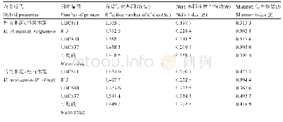 表2 杂交后代及亲本的遗传多样性指数