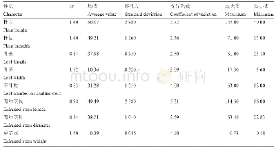 表2 茎用莴苣种质资源数量性状遗传多样性分析