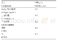 表4 RT-PCR反应体系