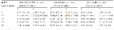 表3 萝卜抽薹过程中保护酶活性的变化