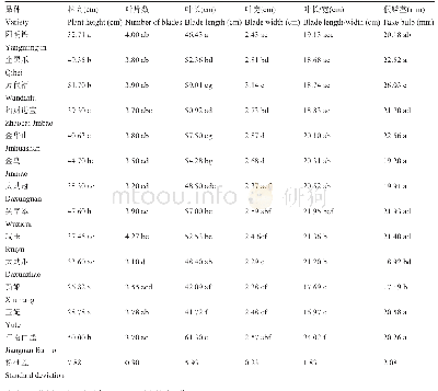 表1 墨兰13个品种生长性状的比较