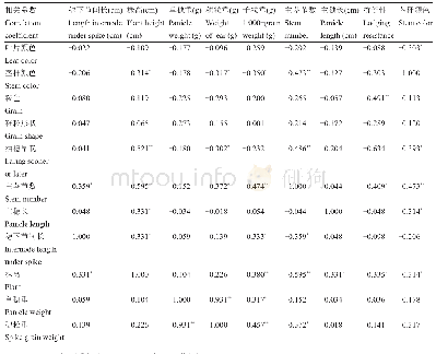 表5 参试糜子品种主要农艺性状的相关性系数