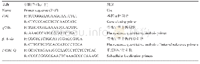 表1 基因克隆与表达分析引物序列