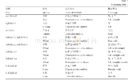 表1 非生物胁迫相关的WRKY转录因子