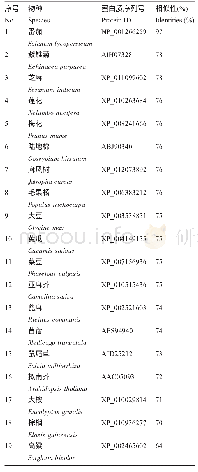 表1 马铃薯与其比对物种DWF4基因信息