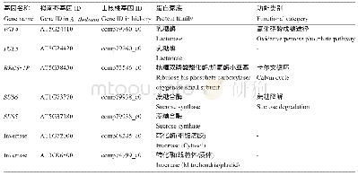 表4 山核桃中表达油棕中无表达的碳水化合物代谢相关基因