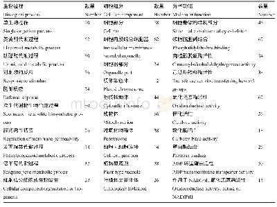 《表1 人参根系差异蛋白的第二层GO功能分类》