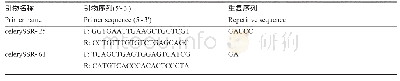 表1 芹菜杂交品种‘HBN-01’和‘HBN-02’种子纯度鉴定的2对SSR引物序列