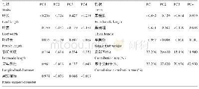 表3‘草莓果冻’海棠子代表型性状的主成分分析